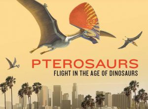 pterosaurs flight in the age of dinosaurs