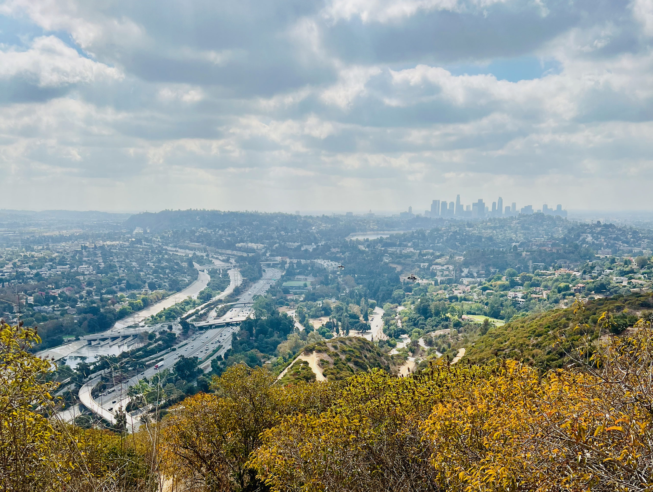 Will Drive For Views: Exploring Griffith Park - The Family SavvyThe Family  Savvy